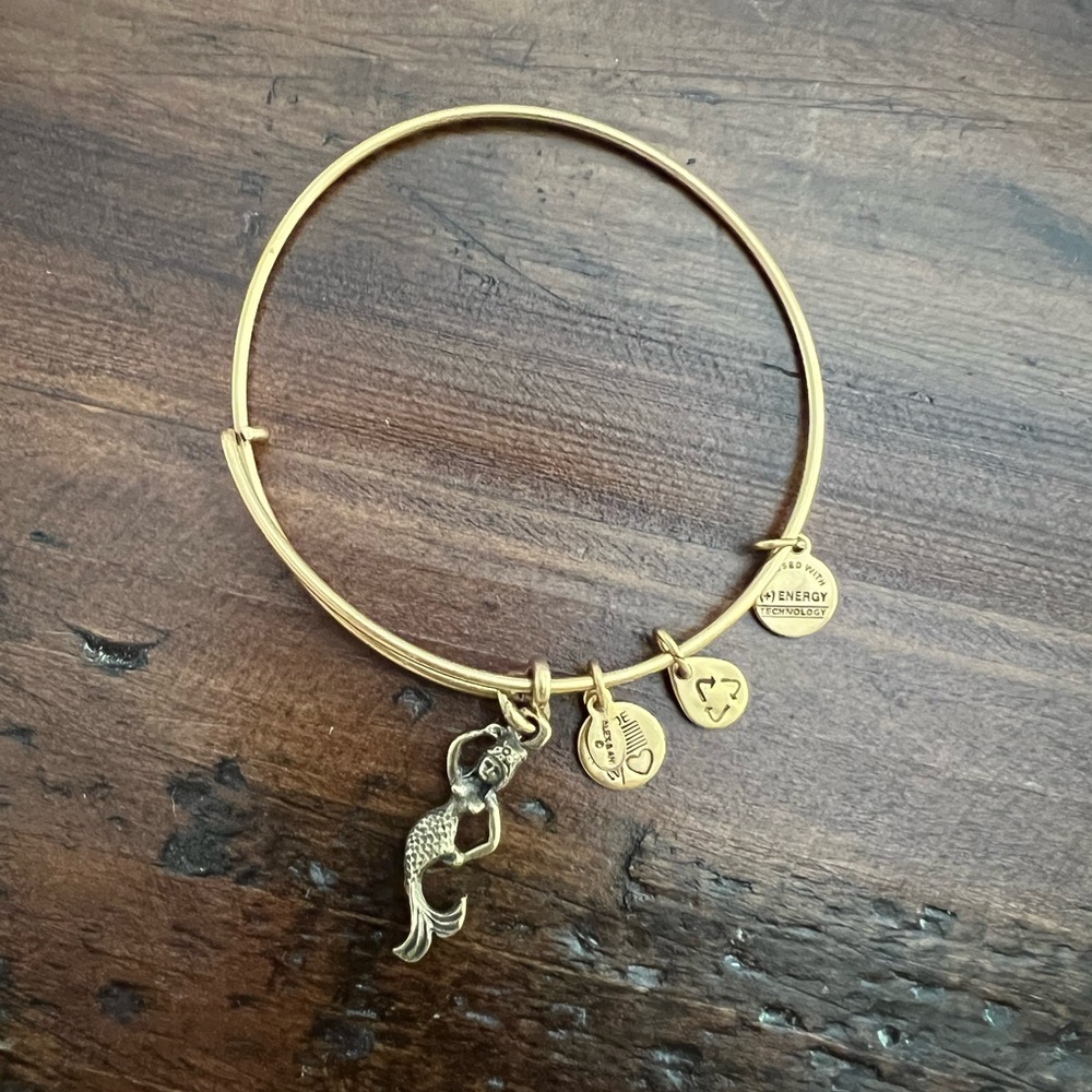 Alex and Ani Bracelet Bundle, Gold & Silver (6) - Picture 8 of 9